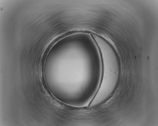 X0000074340984200609011623