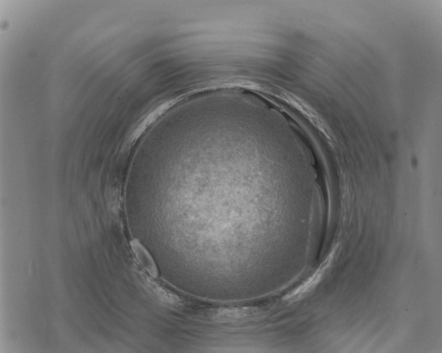 X0000074340985200609011623