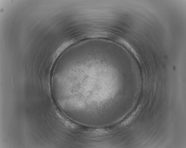 X0000074340986200609011623