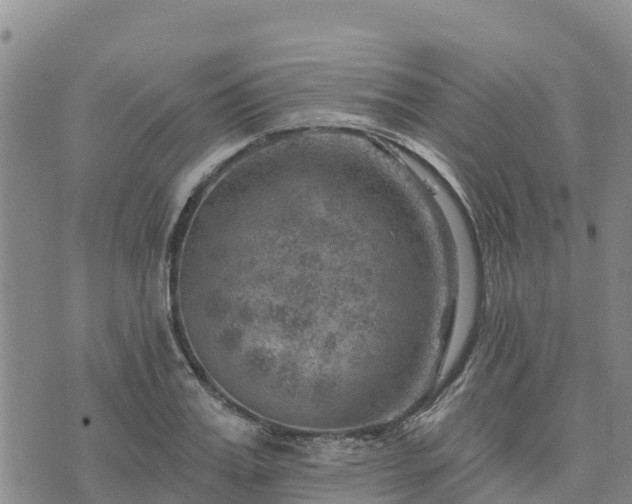 X0000074340987200609011623