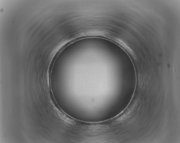 X0000074340988200609011623