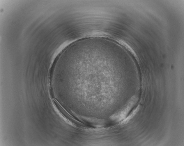 X0000074340989200609011623