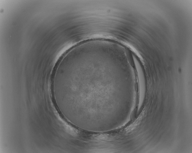 X0000074340991200609011623