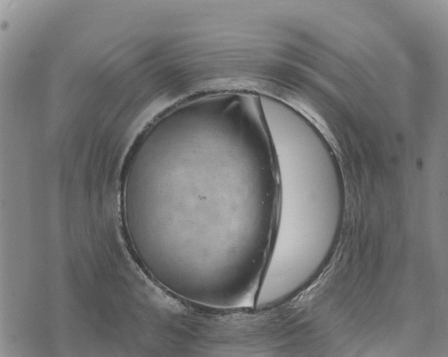 X0000074340992200609011623