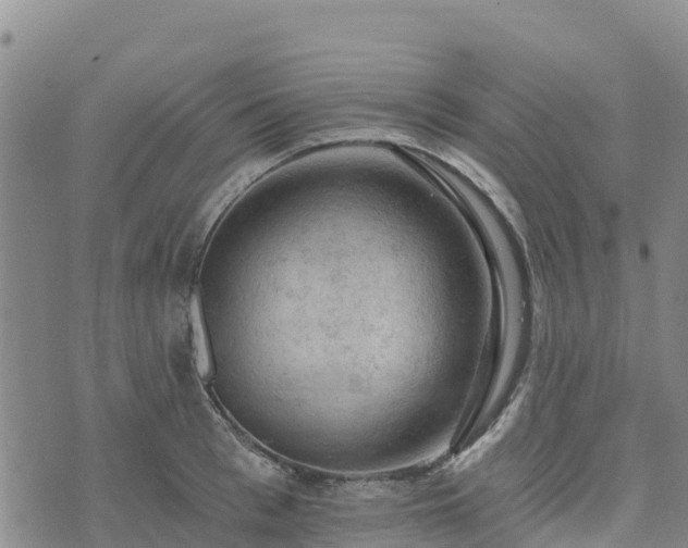 X0000074340993200609011623