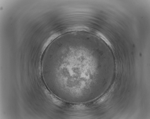 X0000074340994200609011623