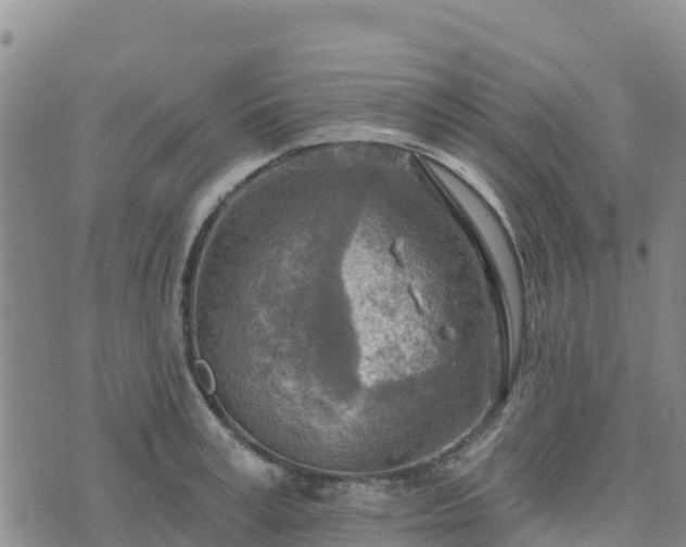 X0000074340995200609011623