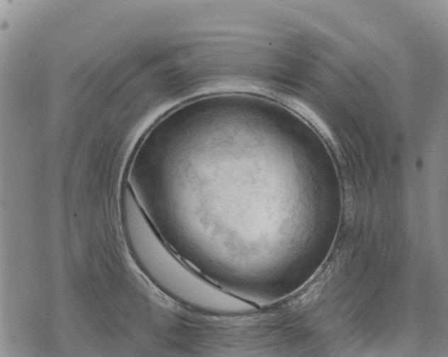 X0000074340996200609011623