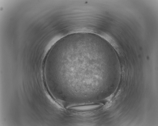 X0000074340998200609011623