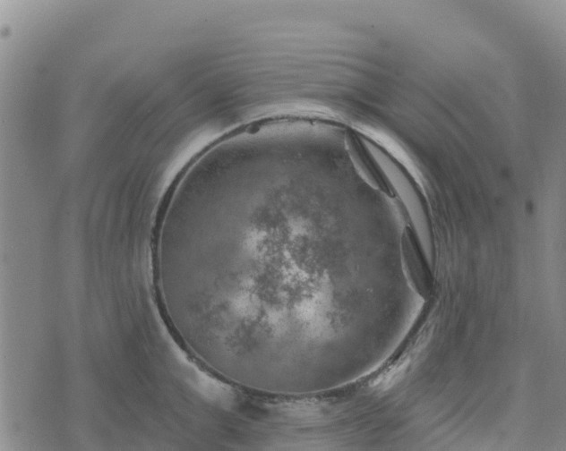 X0000074340999200609011623