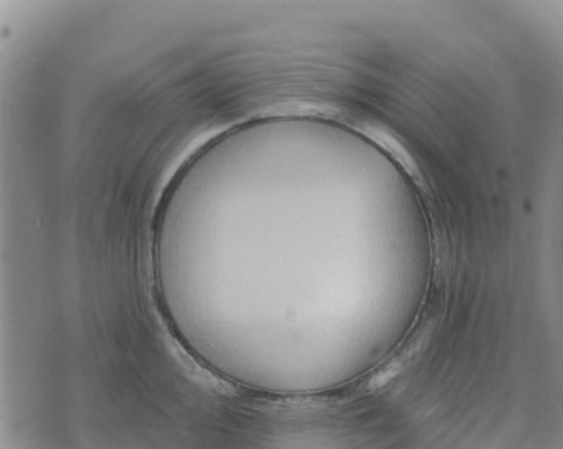 X0000074341000200609011623