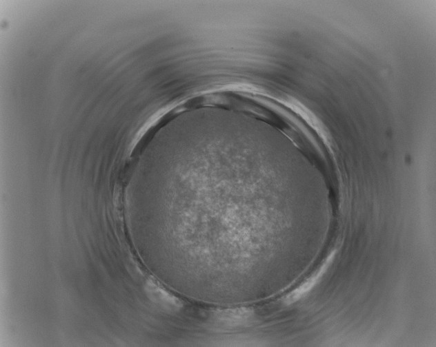 X0000074341001200609011623