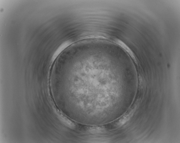 X0000074341002200609011623