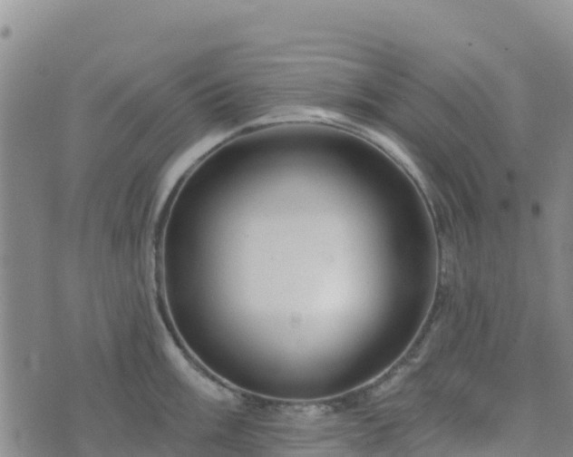 X0000074341003200609011623