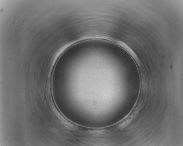 X0000074341004200609011623