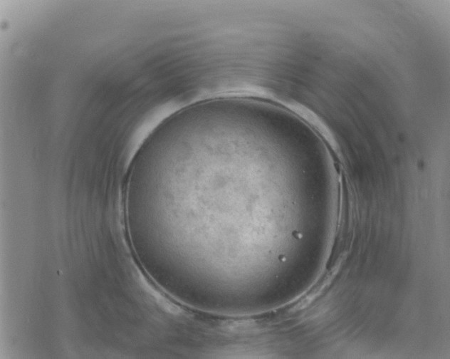 X0000074341006200609011623