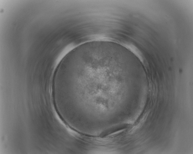 X0000074341007200609011623