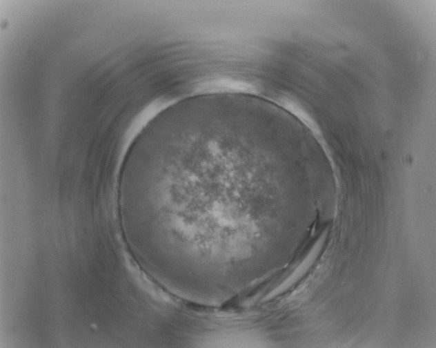 X0000074341008200609011623