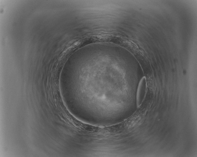 X0000074341009200609011622