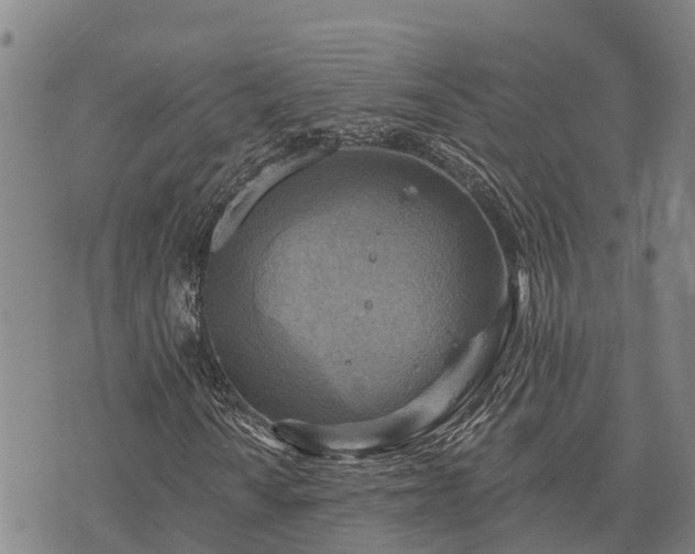 X0000074341010200609011622