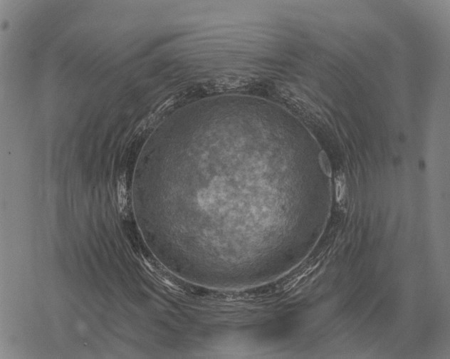 X0000074341011200609011622