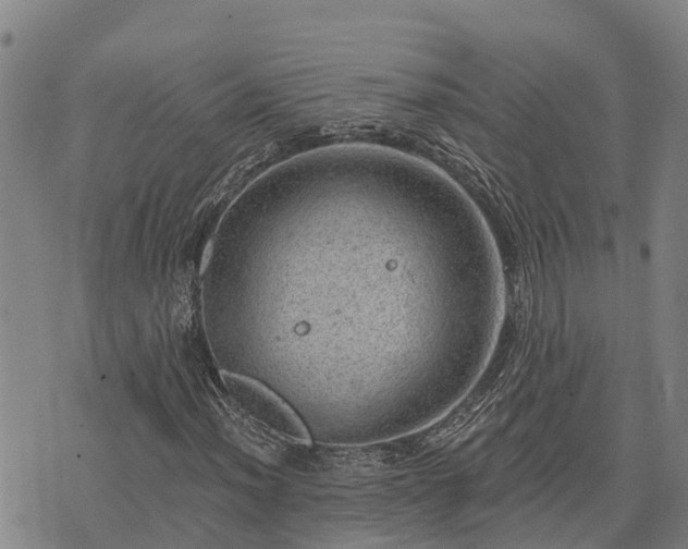 X0000074341012200609011622