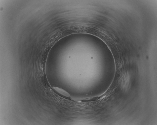 X0000074341013200609011622