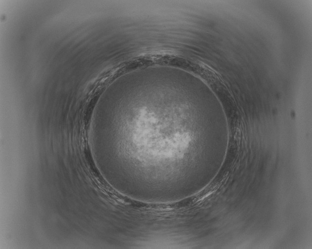 X0000074341014200609011622