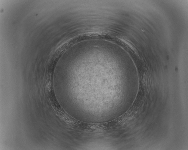 X0000074341015200609011622