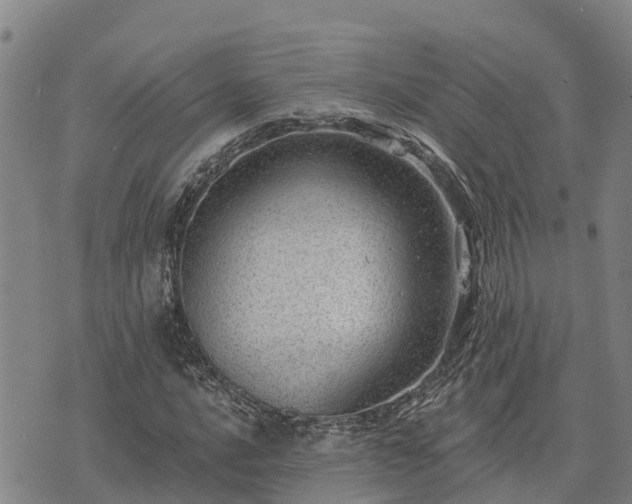 X0000074341016200609011622