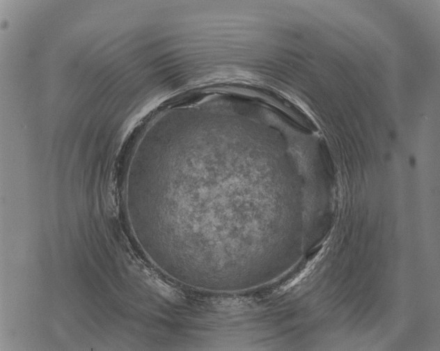 X0000074341018200609011622