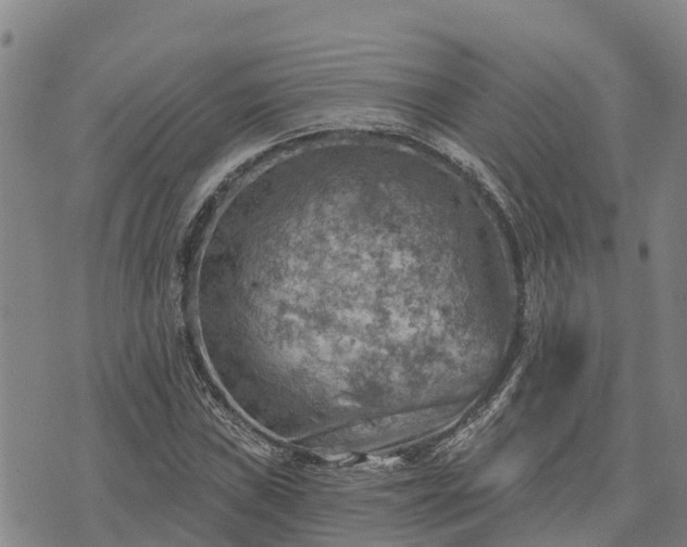 X0000074341019200609011622