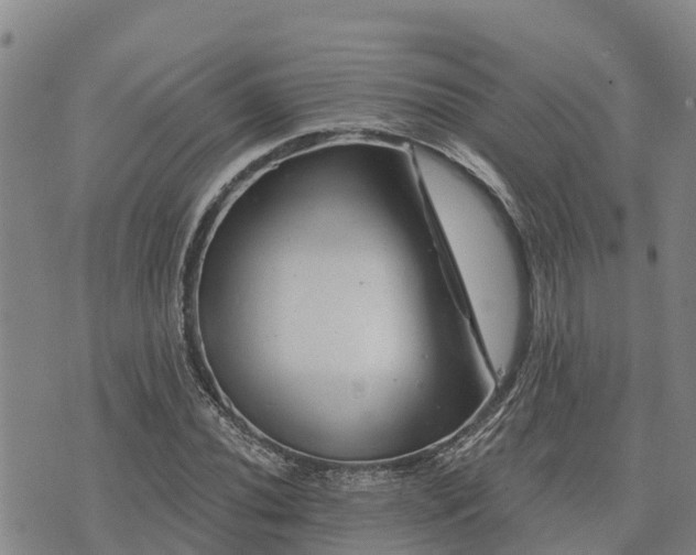 X0000074341020200609011622