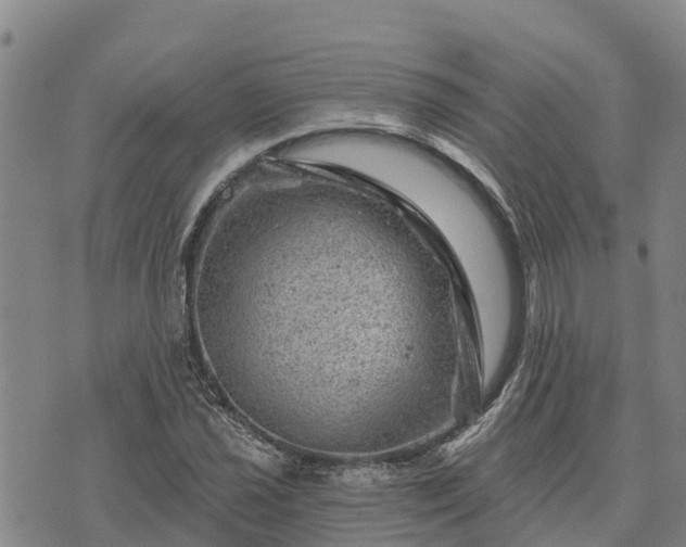 X0000074341021200609011622