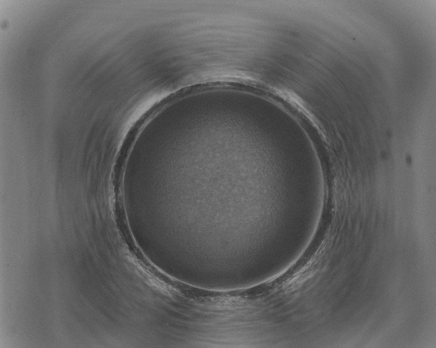 X0000074341024200609011622