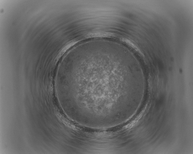 X0000074341025200609011622