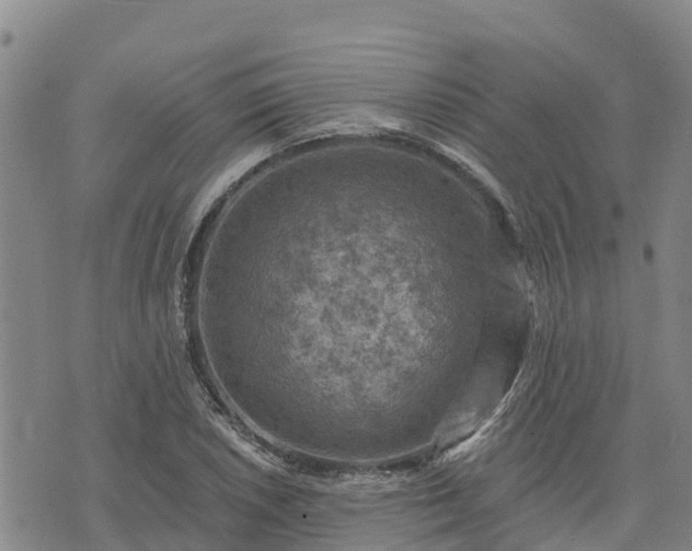 X0000074341026200609011623