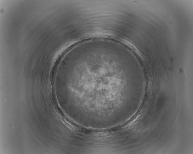 X0000074341027200609011623