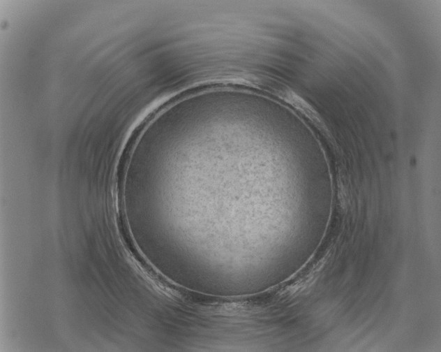 X0000074341028200609011623