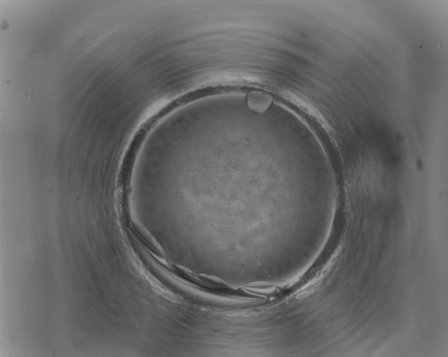 X0000074341029200609011623