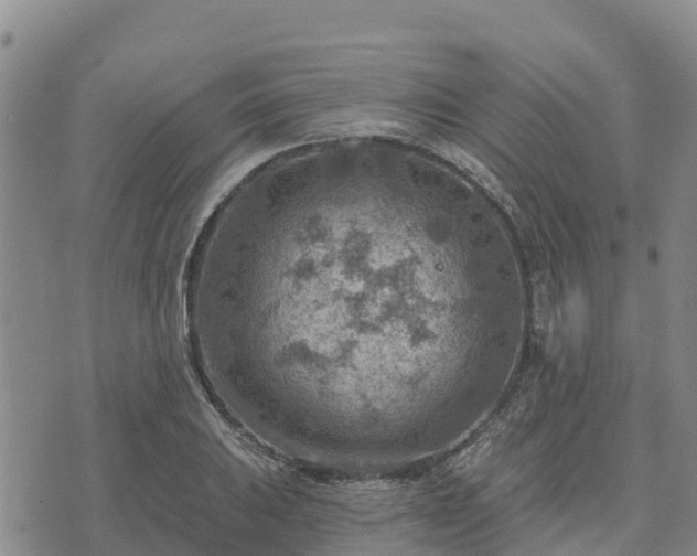 X0000074341031200609011623