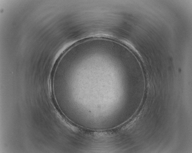 X0000074341032200609011623