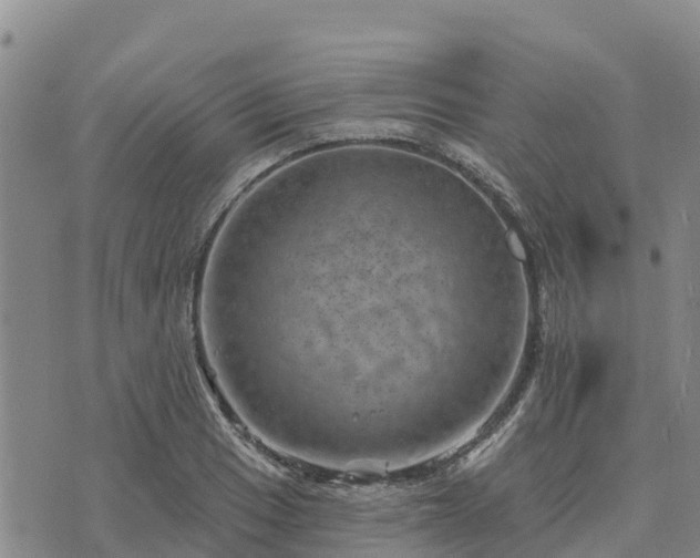 X0000074341033200609011623