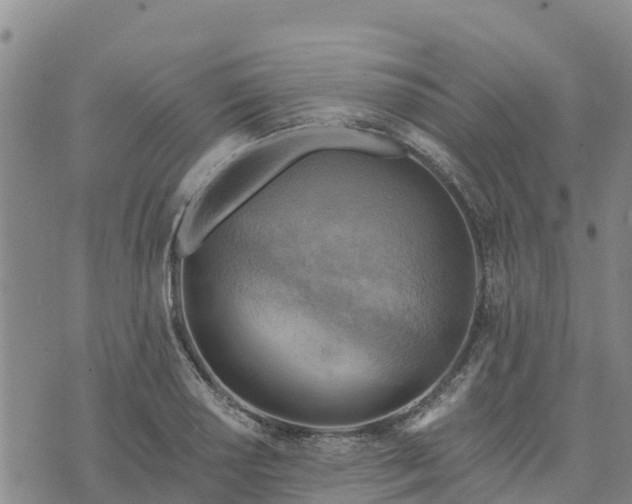 X0000074341034200609011623