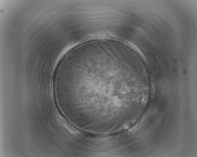 X0000074341035200609011623