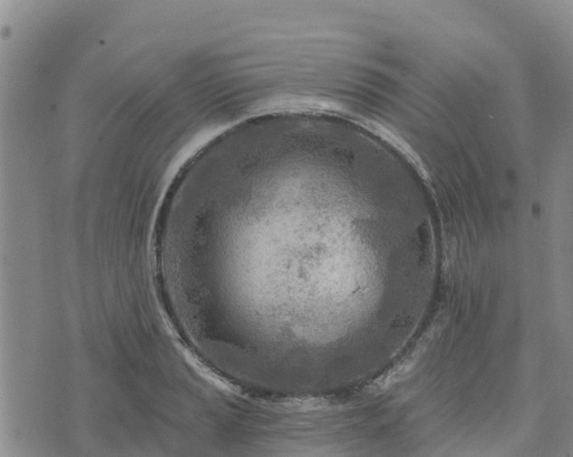 X0000074341037200609011623