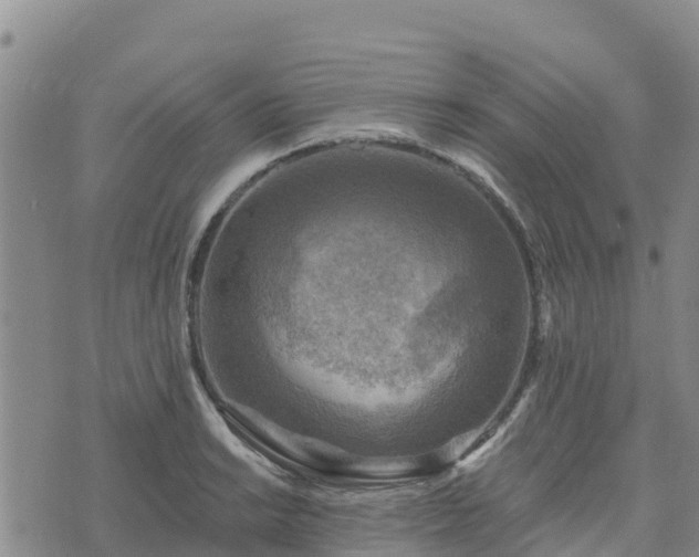 X0000074341038200609011623