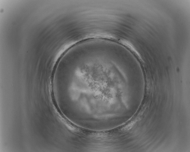 X0000074341040200609011623