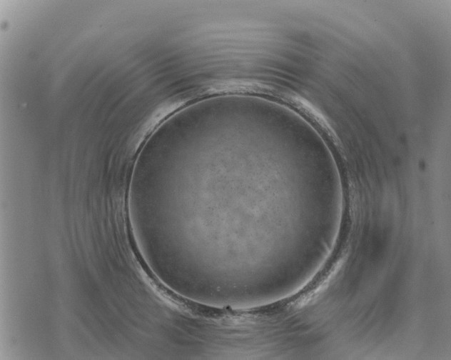 X0000074341041200609011623