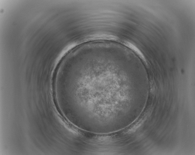 X0000074341043200609011623